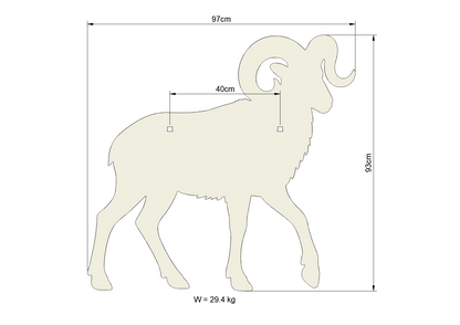 Dall Sheep Walking