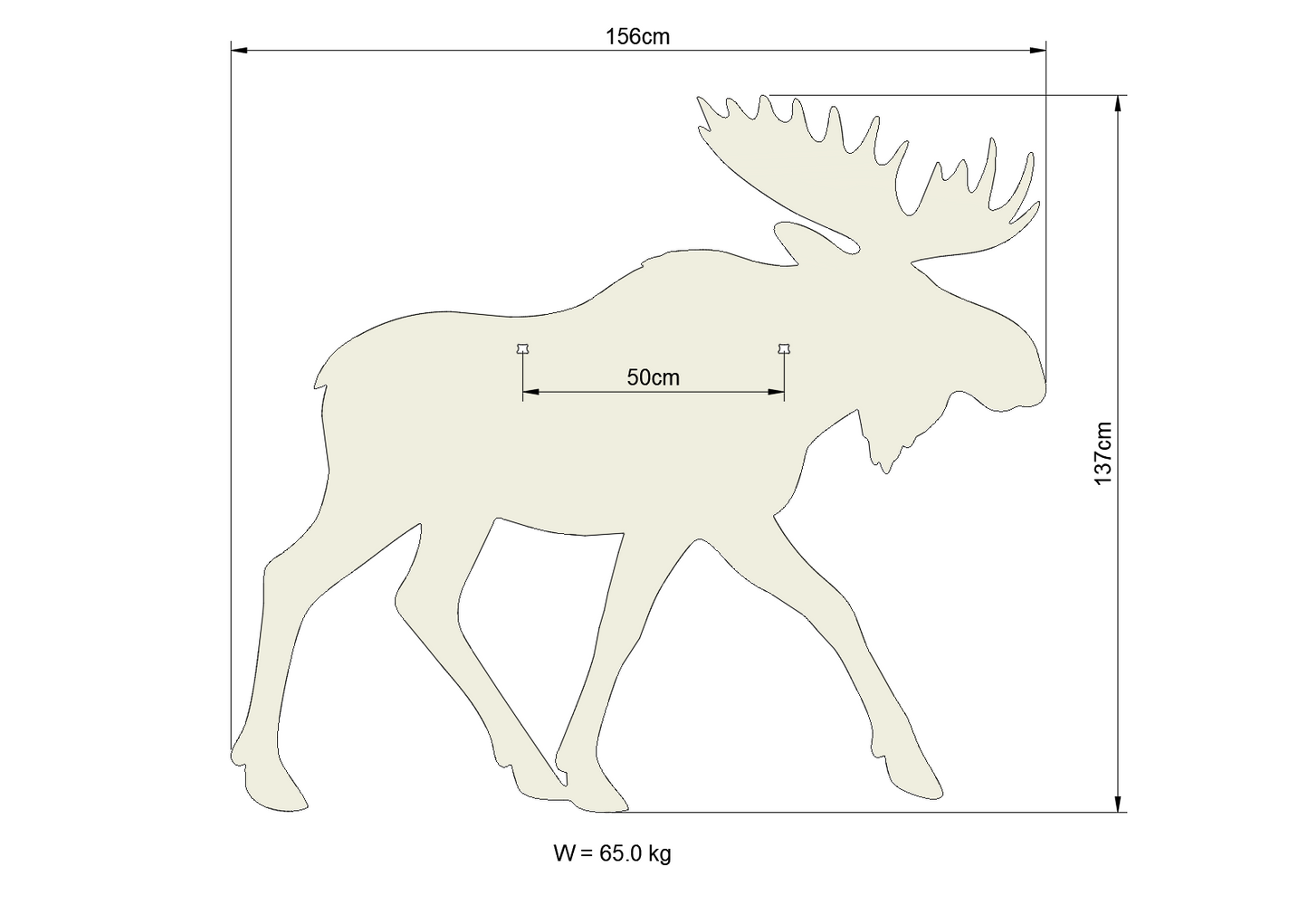 Full Moose Male Walking