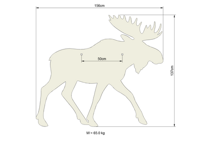 Full Moose Male Walking